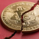 Halving bitcoin