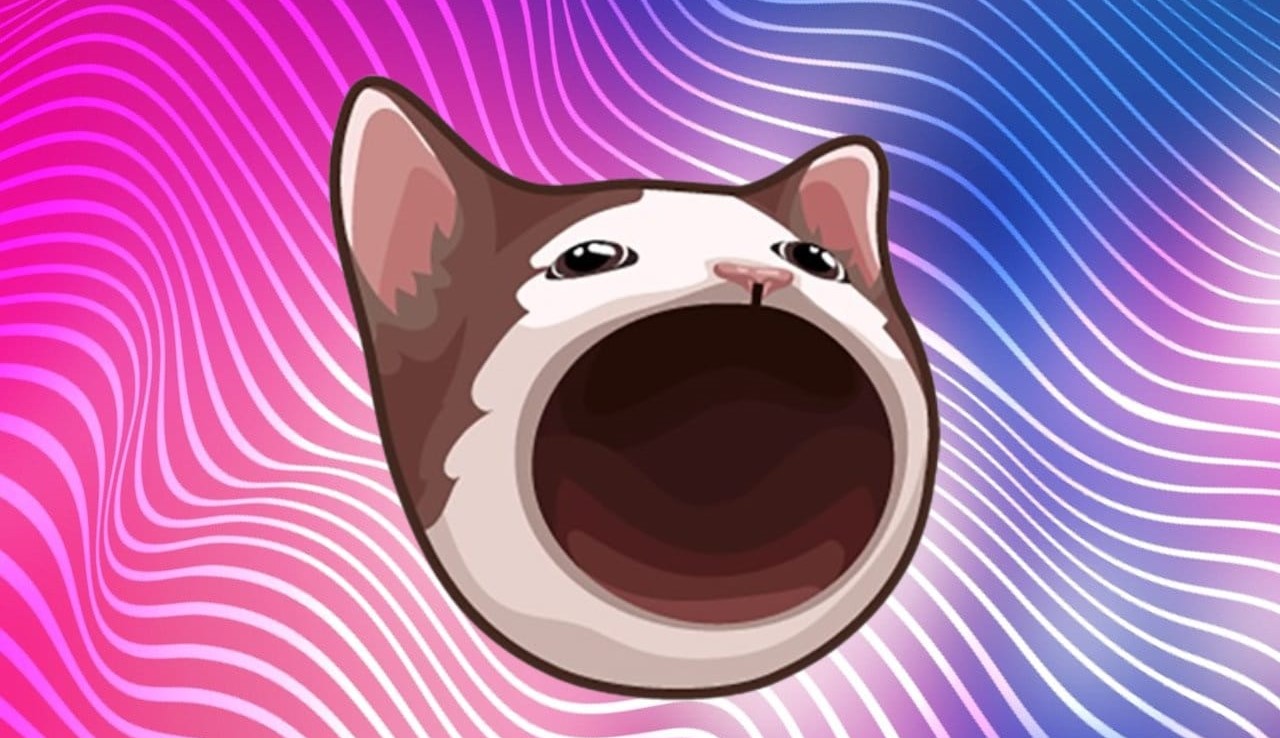 Trader gana US$ 3,3 millones en un mes con POPCAT