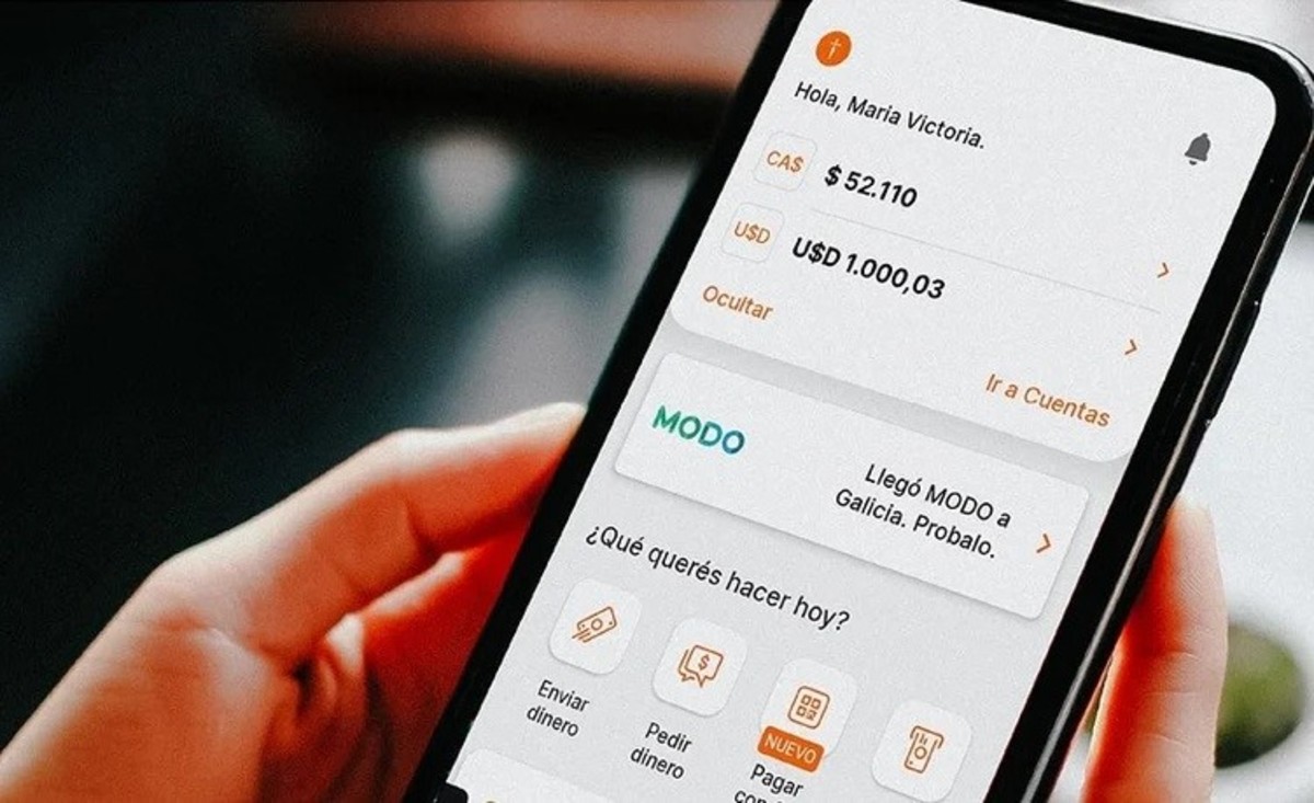 Argentina: Bancos, Mercado Pago, Ualá y otras fintech esperan la señal del BCRA para ofrecer criptomonedas