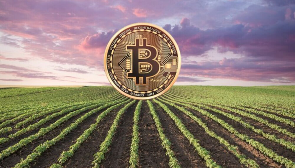 Agrotoken lanza plataforma para certificar operaciones en Blockchain