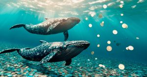 Ballenas cambian BTC por ETH + nuevas memecoins: Pepe Unchained recauda 55 millones de dólares