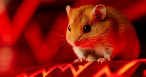 Hamster Kombat anuncia estrategia para evitar la salida de usuarios