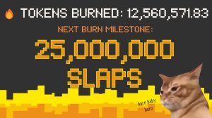 Catslap función slap to earn