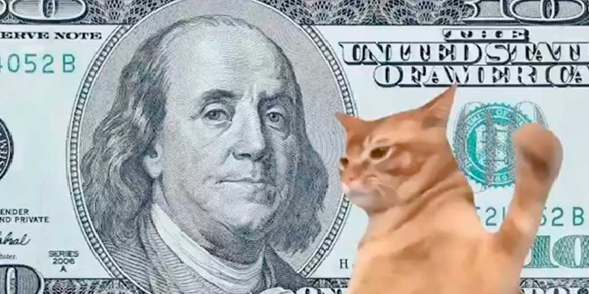 Catslap podría llegar a los 0,01 dólares