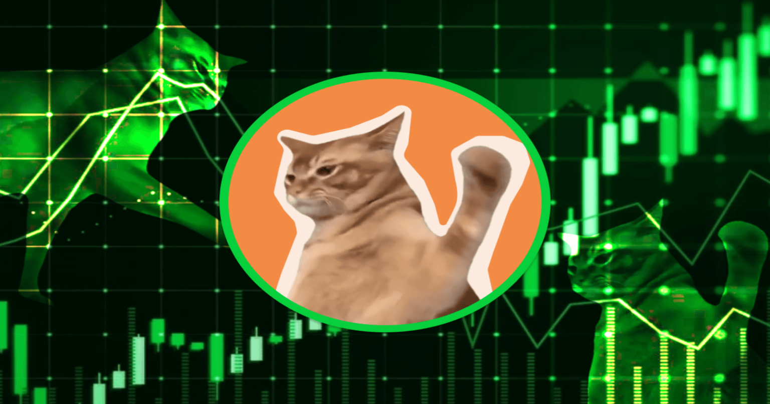 CatSlap muestra señales prometedoras tras un aumento del 3.000%