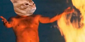 Quema tokens Catslap