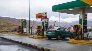Bolivia descartó usar criptomonedas para la compra de combustible