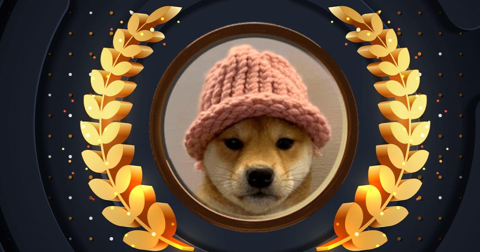 Dogwifhat entre las criptomonedas que más subieron en la semana