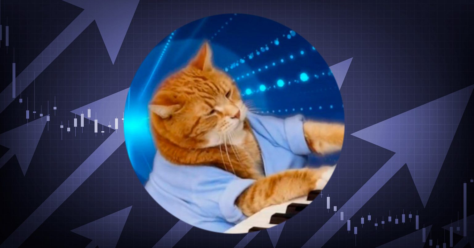 Keycat sube un 187%: ¿Las memecoins de la red Base son las 'joyas' para mayo de 2025?