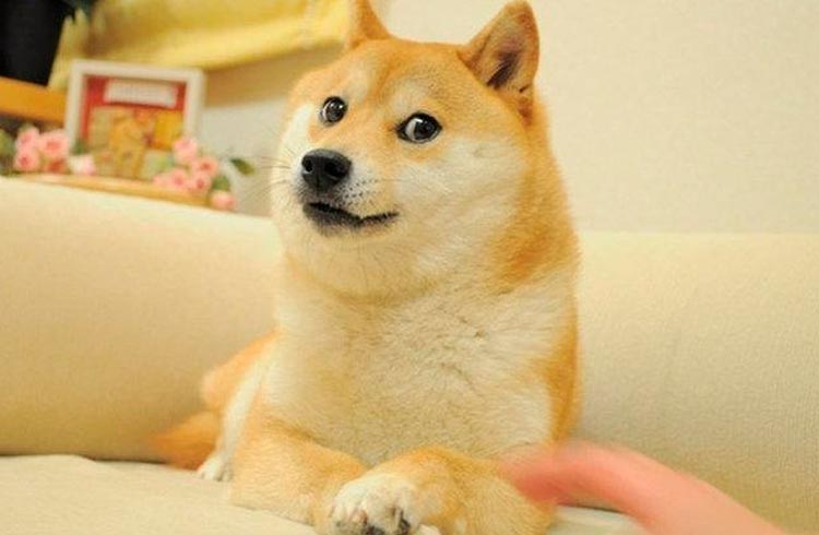 Precio de las memecoins DOGE, PEPE y SHIB se encuentra en una encrucijada, según análisis