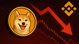 Binance elimina la memecoin Neiro y el token cae más del 25%