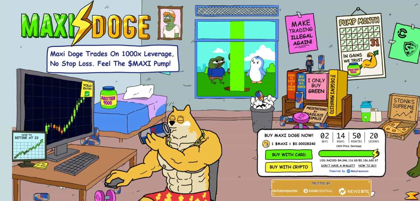 Preventa de Maxi Doge