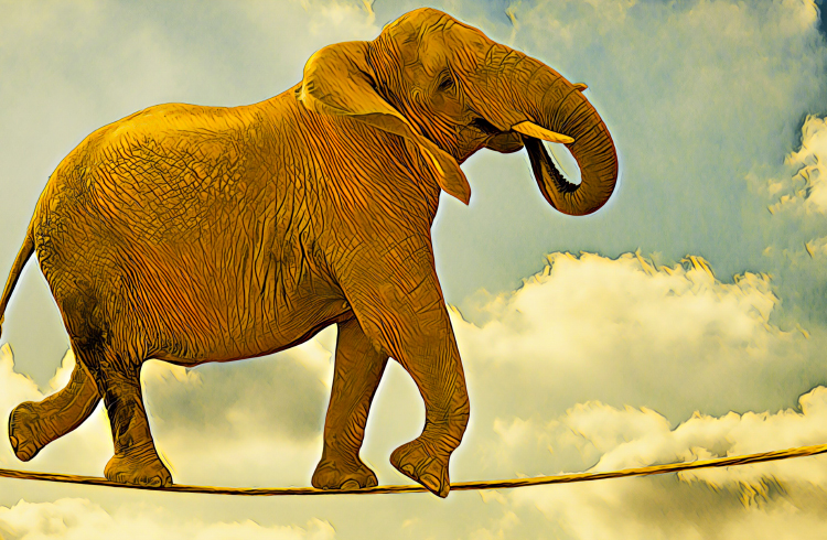 Elephant Marketing explica o potencial dos Eventos de Geração de Tokens (TGE)