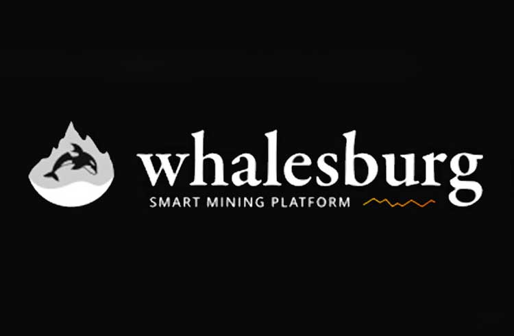 O que é uma ICO privada e como fazer parte dela? Whalesburg responde