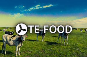 TE-FOOD: parceria com a HALAL TRAIL promete levar empresas de alimentos Halal para o Blockchain