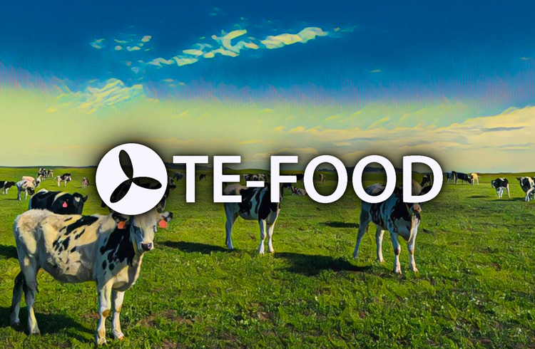 TE-FOOD: parceria com a HALAL TRAIL promete levar empresas de alimentos Halal para o Blockchain