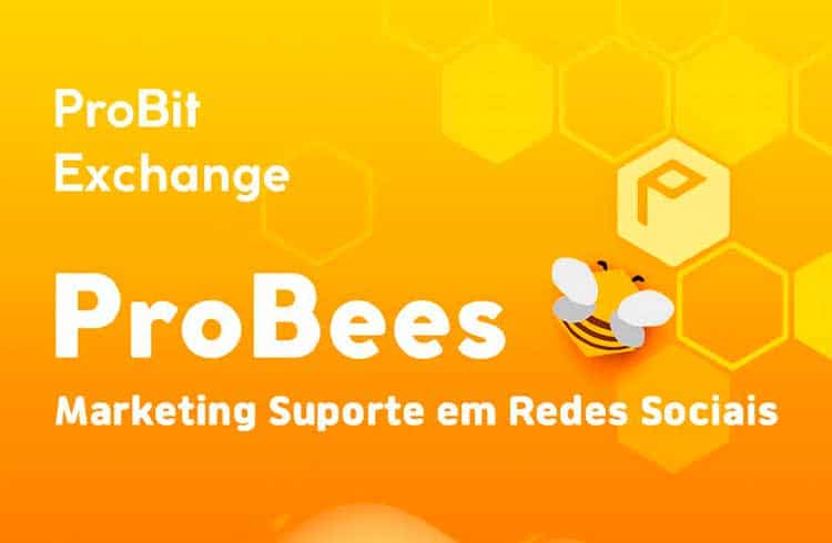 Probit Exchange está pagando até $800 no programa de Marketing Probees Brasil