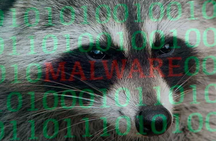 Raccoon Stealer: o novo malware programado para roubar seus Bitcoins