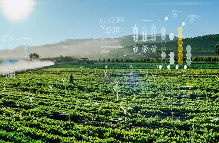 Microsoft registra solução em blockchain voltada ao meio agrícola no Brasil