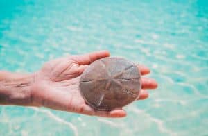 Banco Central das Bahamas lançará piloto do Sand Dollar