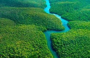 CoinPayments anuncia parceria com Rainforest em ação na Floresta Amazônica