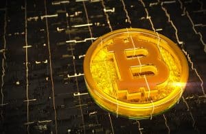 O Bitcoin realmente vai subir depois do halving?