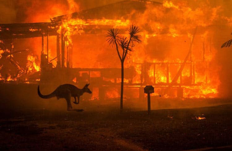Iniciativa arrecada doações em criptomoedas para auxiliar vítimas dos incêndios na Austrália