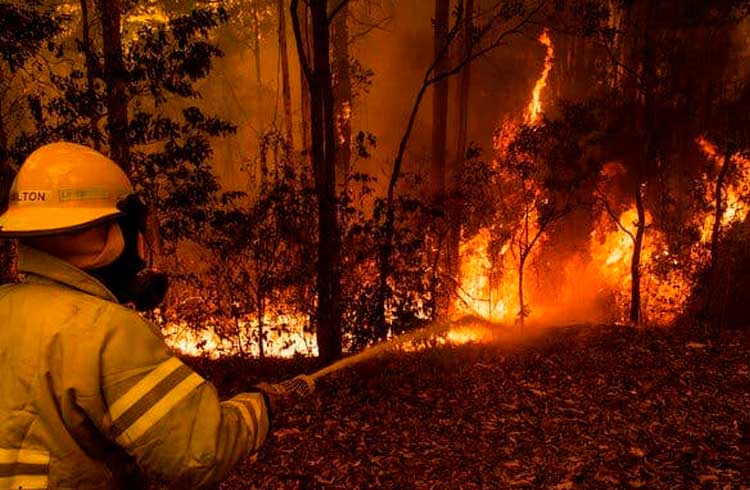 Binance doa US$1 milhão em BNB para combater queimadas na Austrália