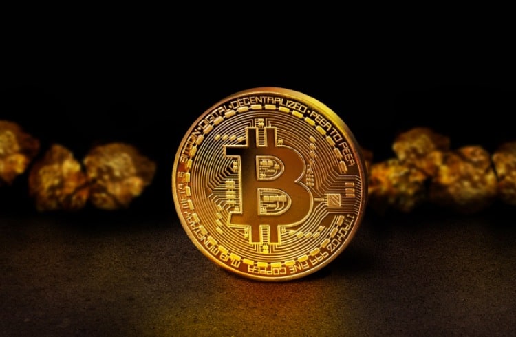 5 DICAS PARA INICIANTES NO BITCOIN