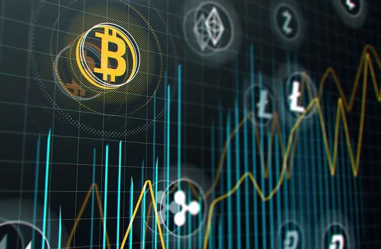 Hashdex descreve vantagens de investir com criptoativos no longo prazo