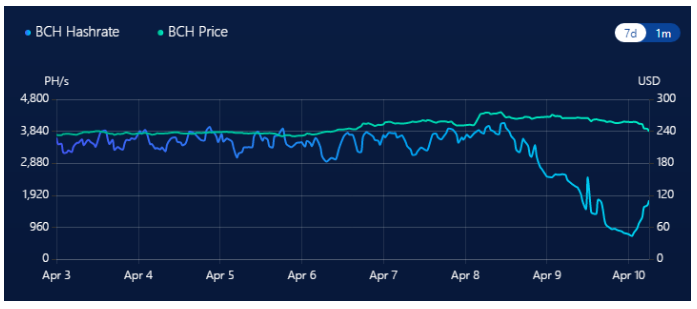 a taxa de hash do Bitcoin Cash caiu de quase 4.200 pentahashes por segundo (PH/s) para apenas 720 PH/s dentro de dois dias após o halving