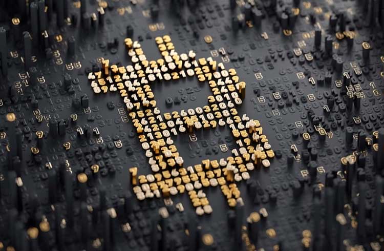 Hash rate do Bitcoin pode cair até 30% após o halving, declara especialista