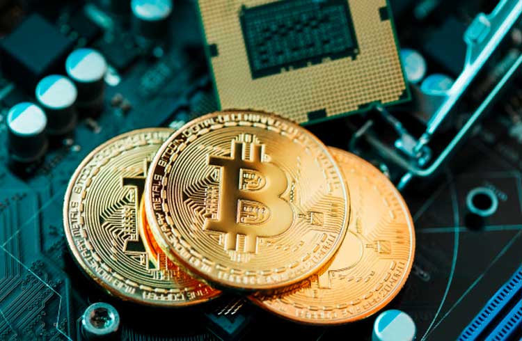 Urgente: Rede do Bitcoin Cash congela após o halving