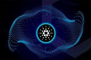 Cardano valoriza 58% na última semana de maio
