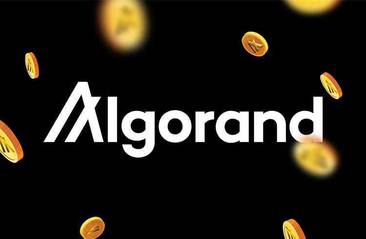 Algorand valoriza 36% após ser listada a Coinbase