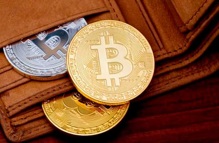 Qual carteira de Bitcoin você deve usar?