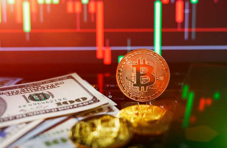 Exchange brasileira dá dica para ganhar dinheiro com Bitcoin