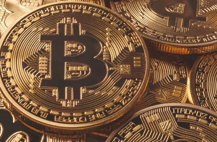 Rico investidor ensina traders de Bitcoin a se tornarem baleias