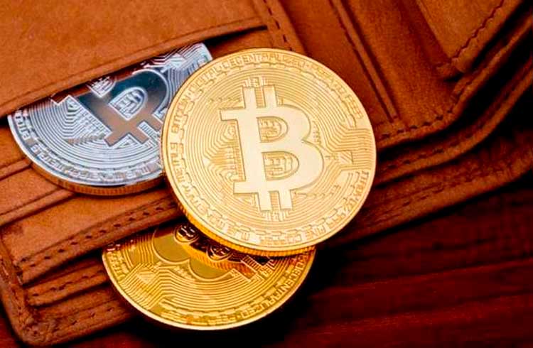 Trader recomenda as melhores carteiras para guardar Bitcoin