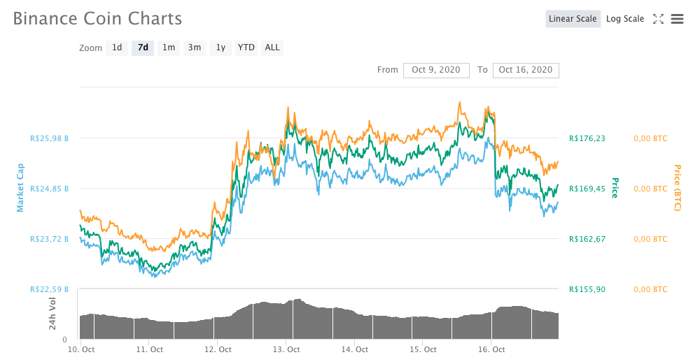 Binance Coin (BNB)