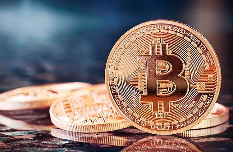 Investidores de Bitcoin são otários, afirma famoso professor