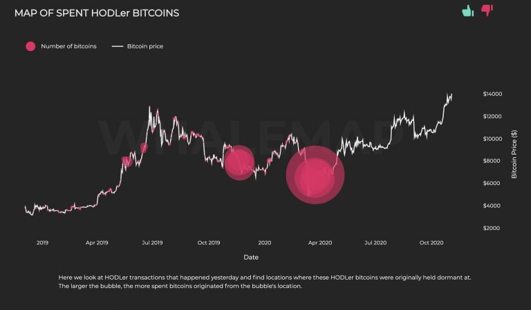 HODLers