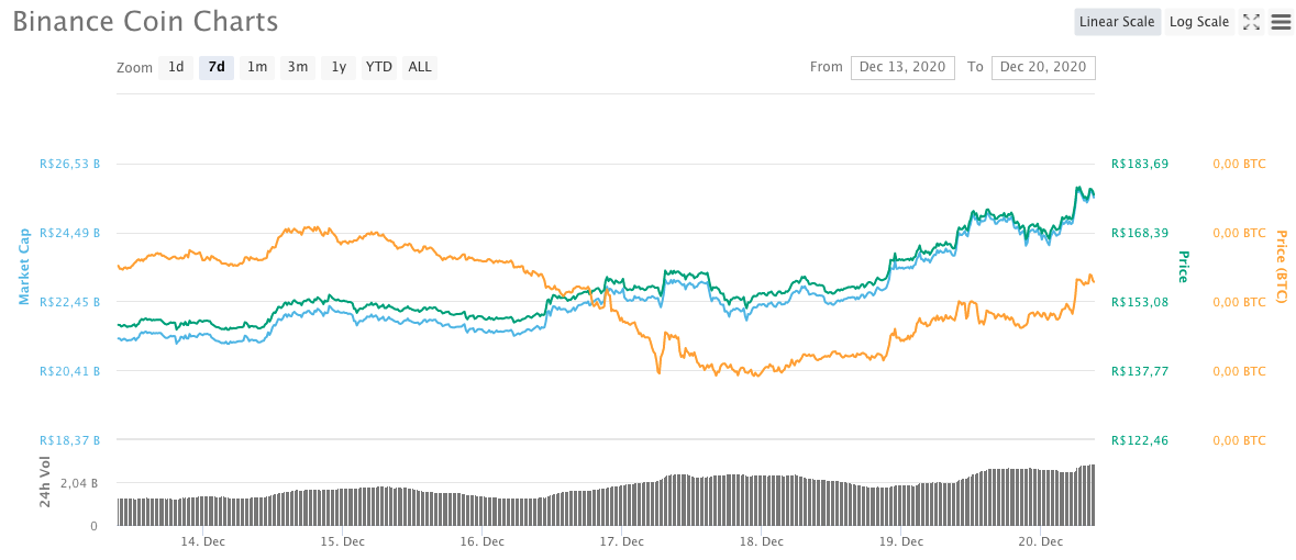 Binance Coin (BNB)