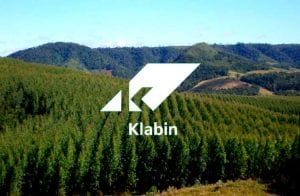 Ações Klabin (KLBN11): qual será o futuro da empresa?
