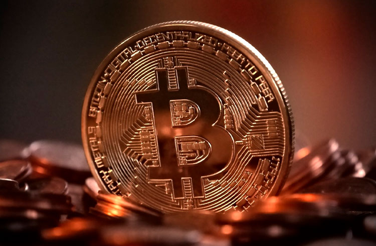 Bitcoin não voltará a ser barato, alerta Willy Woo