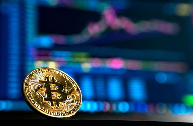 Nova secretária do Tesouro dos EUA pode favorecer o Bitcoin? Confira