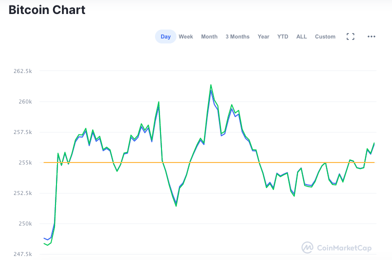 Desempenho do Bitcoin nas últimas 24 horas