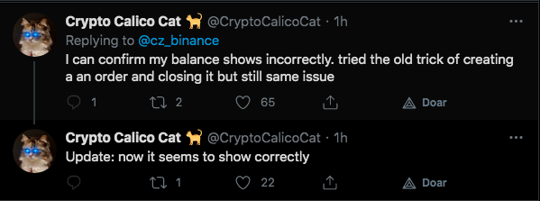 Usuário relata problemas com saldo na Binance, mas se retrata depois. Fonte: Crypto Calico Cat/Twitter.