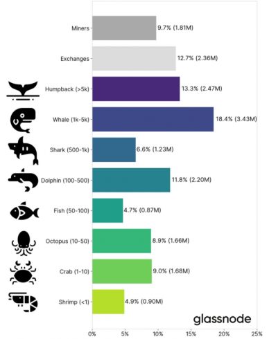 Diversidade de endereços de Bitcoin. Fonte: Meltem Demirors/Glassnode