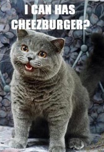 "Posso comer um cheeseburger?". Fonte: Opensea